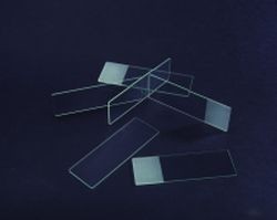 Poly-L-Lysine Slides