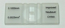 Hemacytometer with Cover Glass Neubauer Ruled Chamber