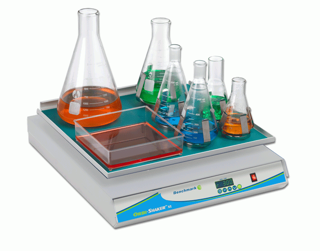 Maxi Orbi Shaker