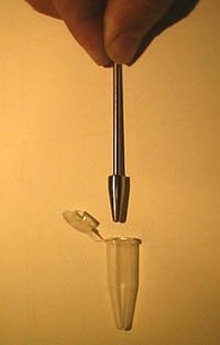 Stainless Steel Pestle