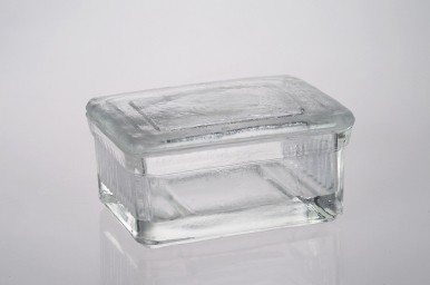 Glass Staining Dish (C. elegans)