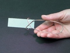Slide Holding Forceps