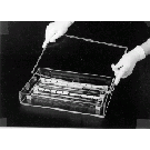 Slide Humidity Incubation Box