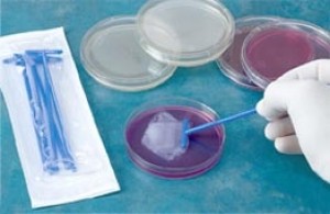 Disposable Cell Spreaders