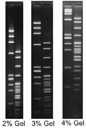 Agarose-Low Melt-Super Fine (Organic Solvent Free)