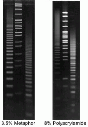 Agarose-Superfine-Intermediate Melt (Organic Solvent Free)