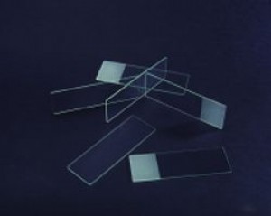 Gelatin Coated Adhesive Microscope Slides