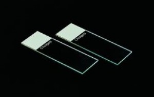Silane Coated Microscope Slides Product