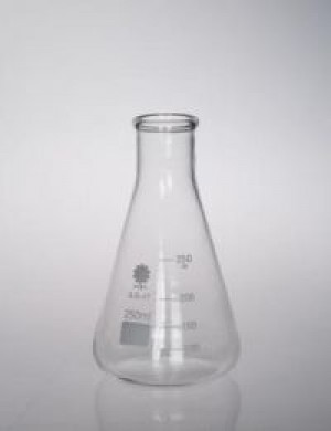 Flasks - Erlenmeyer