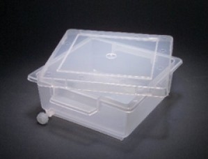 Gel Staining Tray
