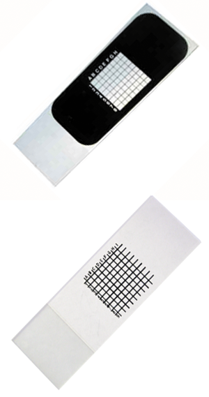 Grid Slides