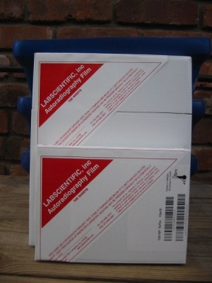 Hypo Film