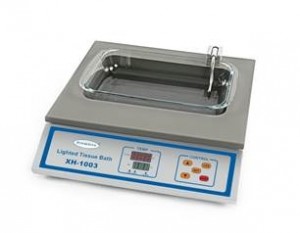 Lighted Tissue Floating Bath