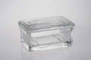 Glass Staining Dish (Histology)