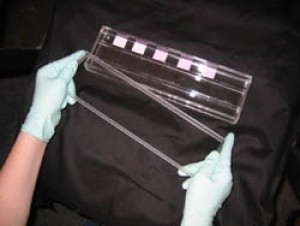 Humidity Box, fixed rail